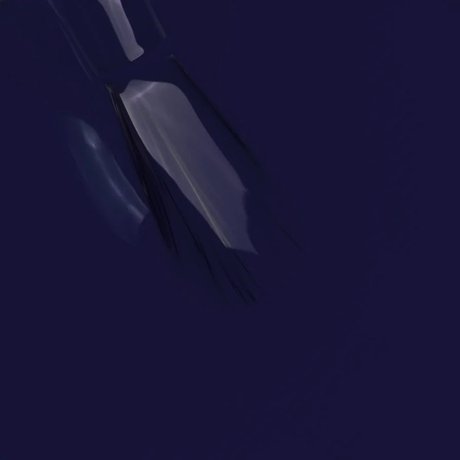 MNP SHINE N’WEAR 230 WALL STREET