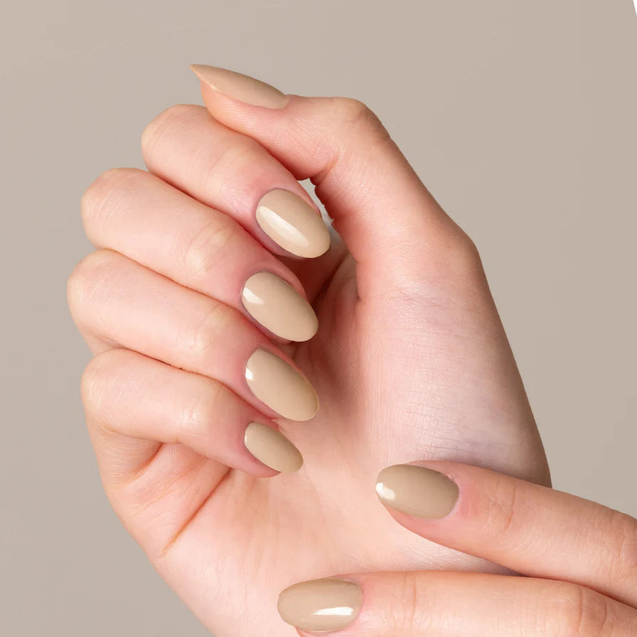 MNP GELEGANT™ - 808 TEDDY 8ML