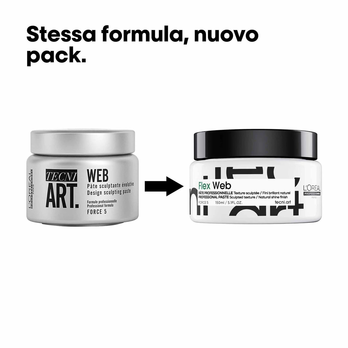 L’OREAL PROFESSIONNEL TECNI.ART WEB DESIGN