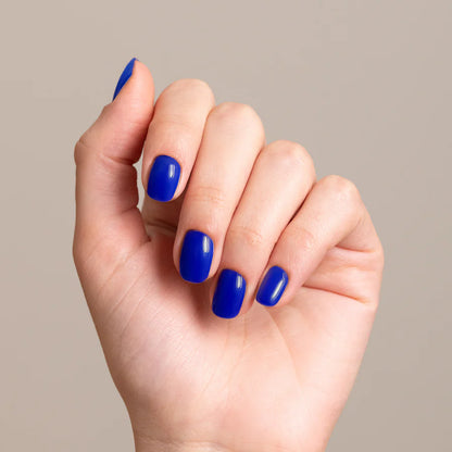 MNP GELEGANT™ - 713 DILF 8ML