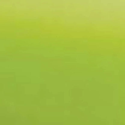 FUNNY PIASTRA MINI EFFETTO LISCIO