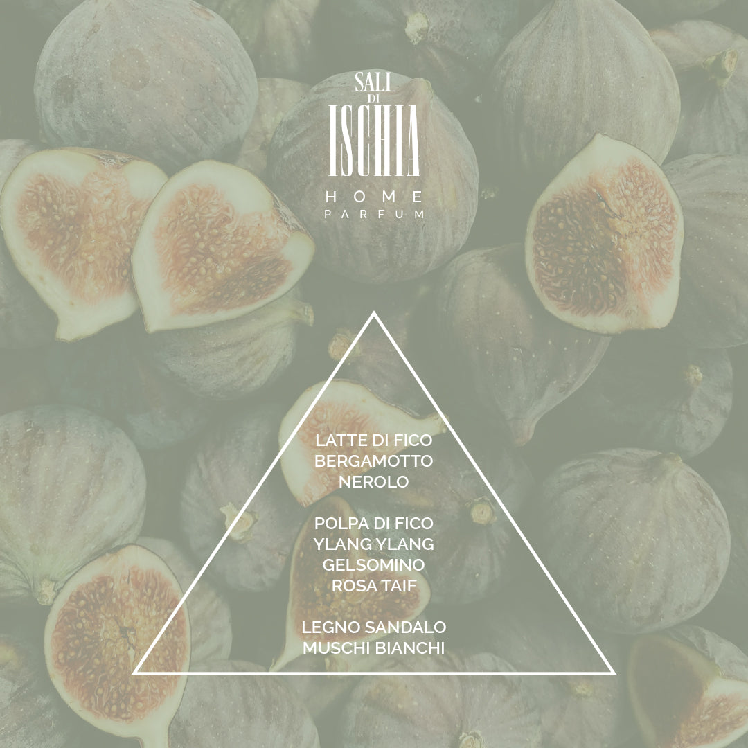 SALI DI ISCHIA FICO MEDITERRANEO HOME PARFUM 100ML