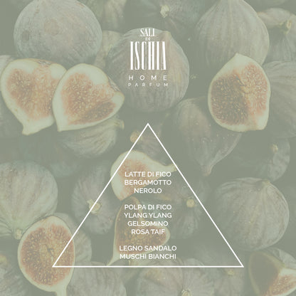 SALI DI ISCHIA FICO MEDITERRANEO HOME PARFUM 100ML