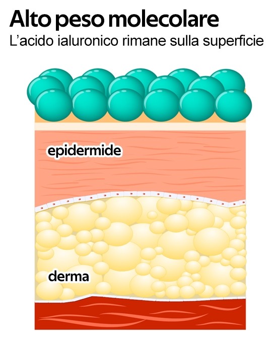 WONDER COMPANY HYAL CREMA ACIDO IALURONICO 50ML