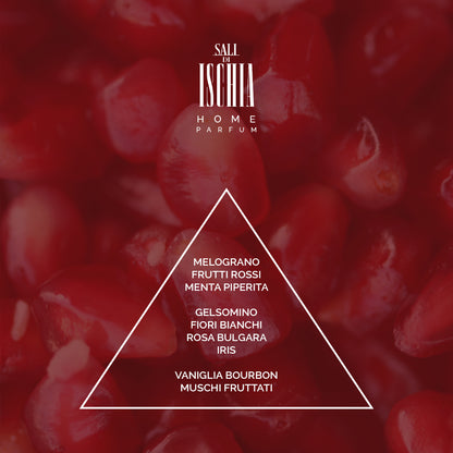 SALI DI ISCHIA MENTA & MELOGRANO HOME PARFUM 100ML